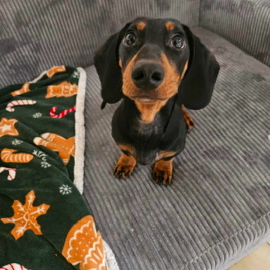 Winnie