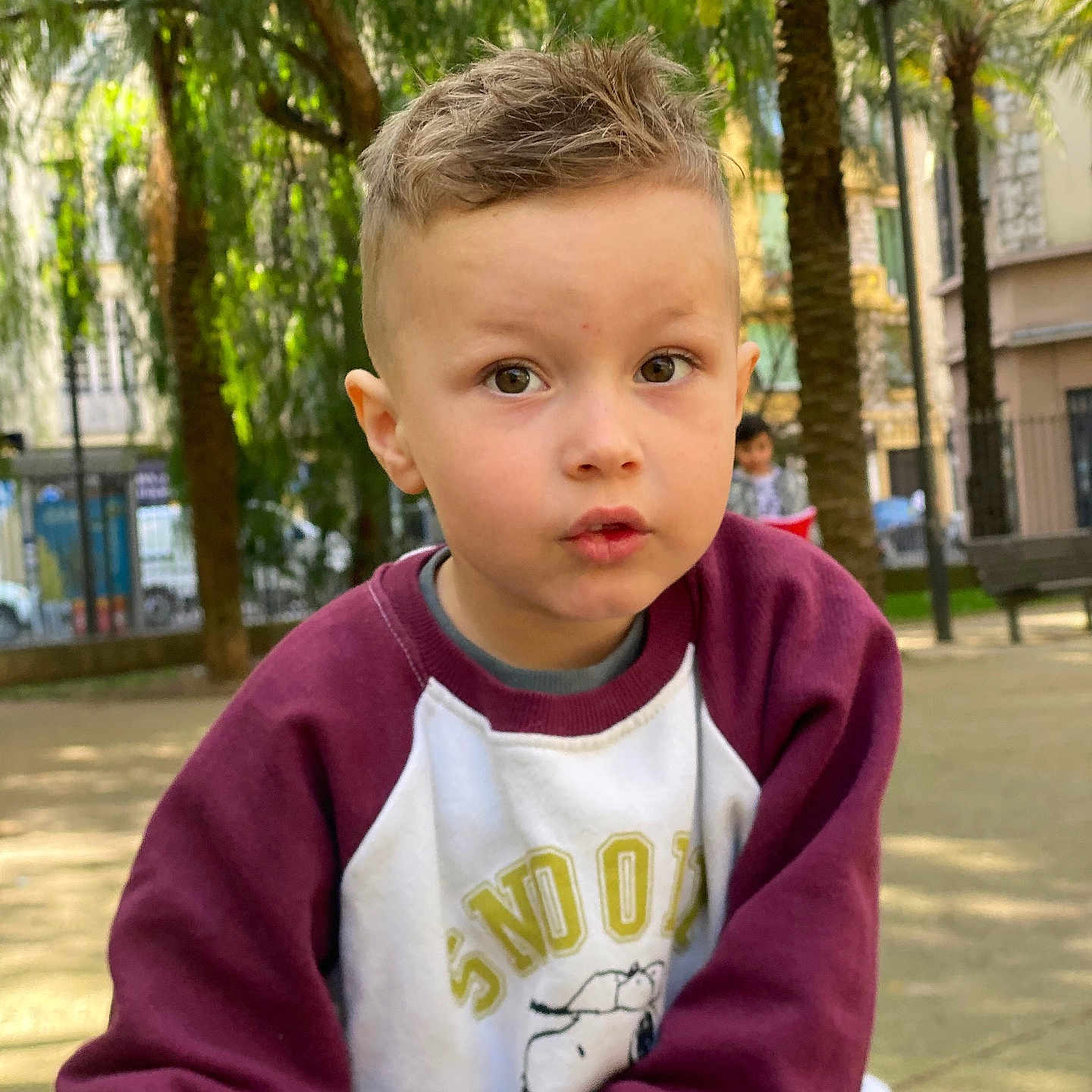 Lukà participe au concours pour gagner de l'argent avec cette photo : boy, child, city, face, grass, head, male, nature, outdoors, palmtree, park, person, photography, plant, portrait, road, street, tree, urban, vegetation