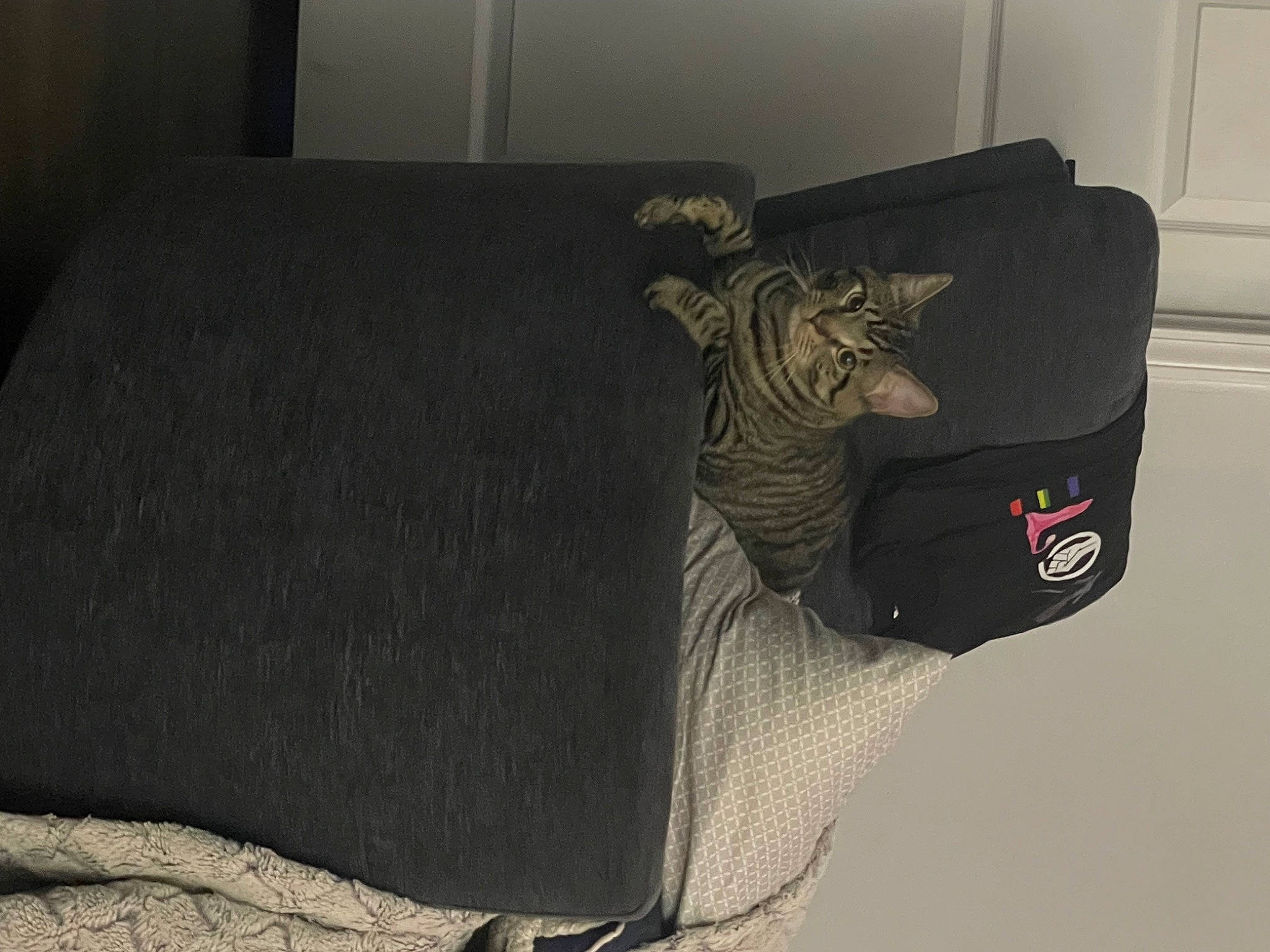 Colin is registered to the contest to win money with this photo: bag, baggage, comfort, couch, fashion_accessory, flooring, font, gadget, leather, linens, luggage_and_bags, personal_protective_equipment, room