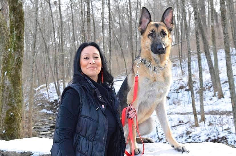 Diego joined the competition — help win amazing prizes! canidae, carnivore, dog, dog_breed, dog_hiking, fawn, freezing, fur, german_shepherd_dog, herding_dog, king_shepherd, plant, recreation, sky, smile, snow, sporting_group, tree, winter, working_dog