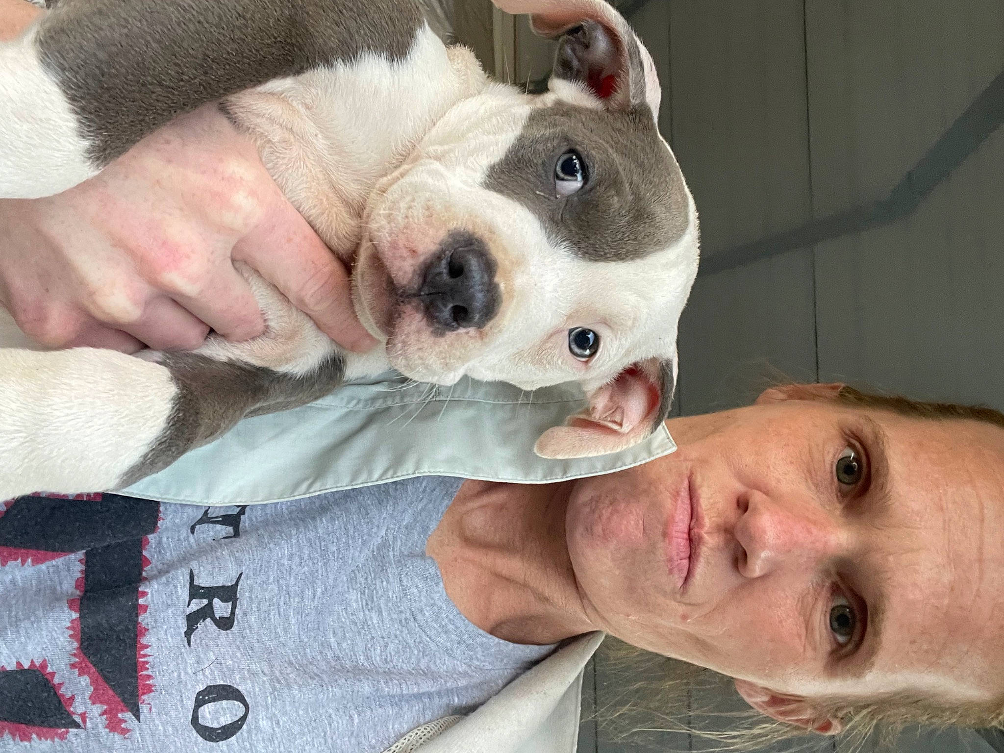 Chief is registered to the contest to win money with this photo: canidae, carnivore, collar, comfort, companion_dog, dog, dog_breed, ear, fawn, fur, happy, jaw, nose, selfie, skin, snout, sporting_group, terrestrial_animal, throat, whiskers