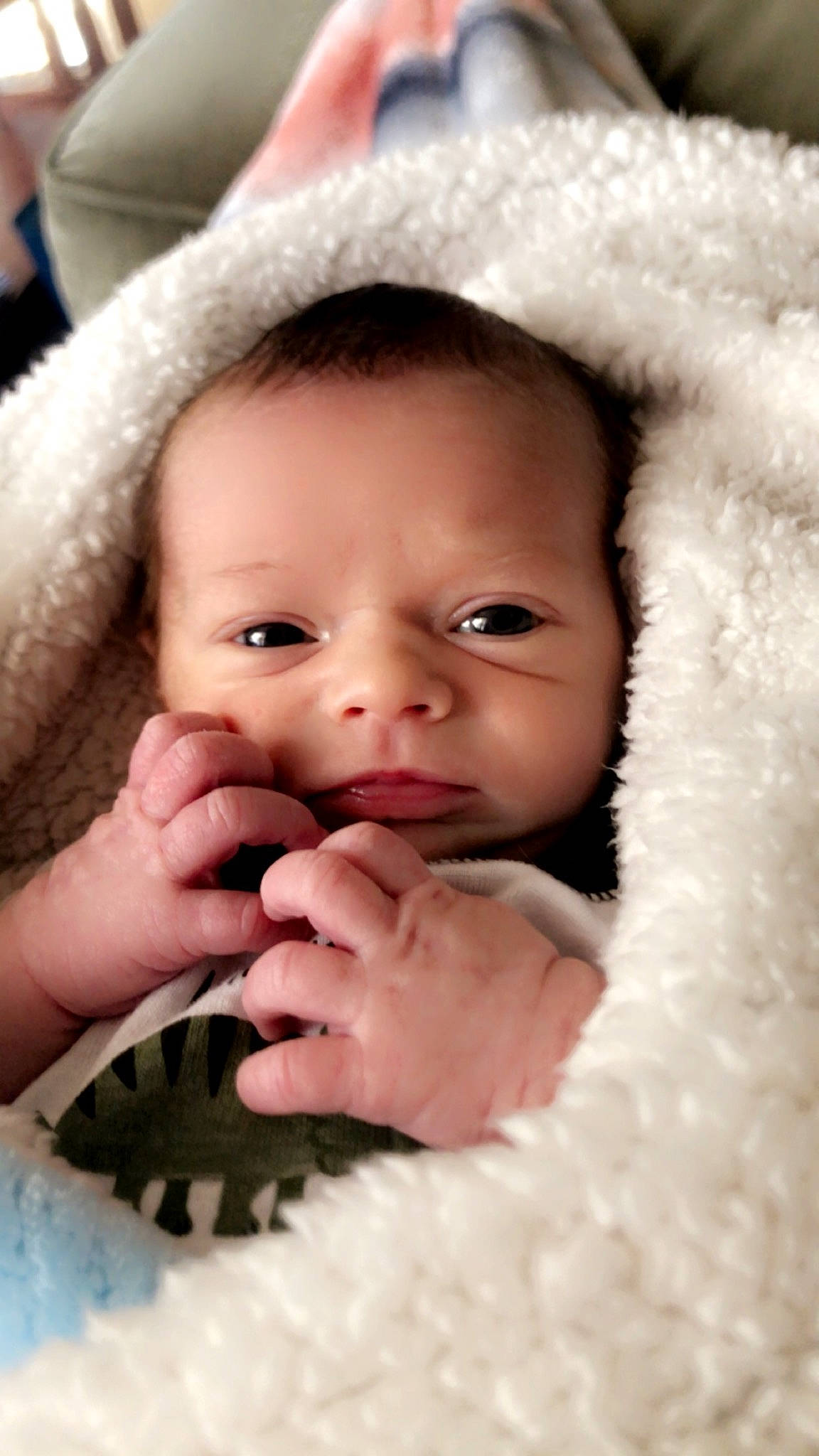 Rogan is registered to the contest to win money with this photo: baby, cheek, chin, ear, eye, eyebrow, eyelash, face, gesture, hair, hand, happy, head, iris, lip, mammal, mouth, nose, person, skin