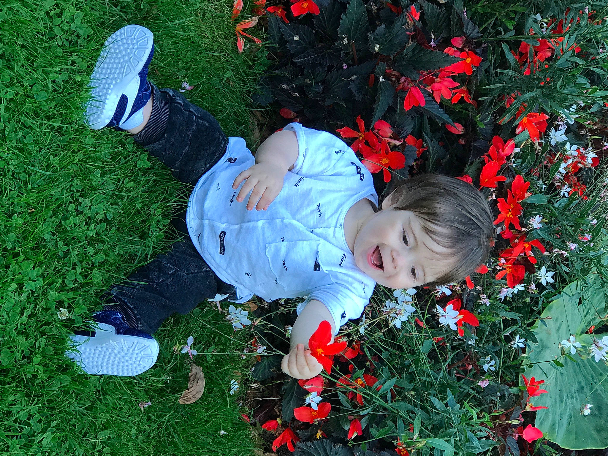 Mathis participe au concours pour gagner de l'argent avec cette photo : botany, child, coquelicot, flower, garden, grass, lawn_ornament, leaf, person, plant, shrub, spring, tree