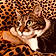 Kitcat