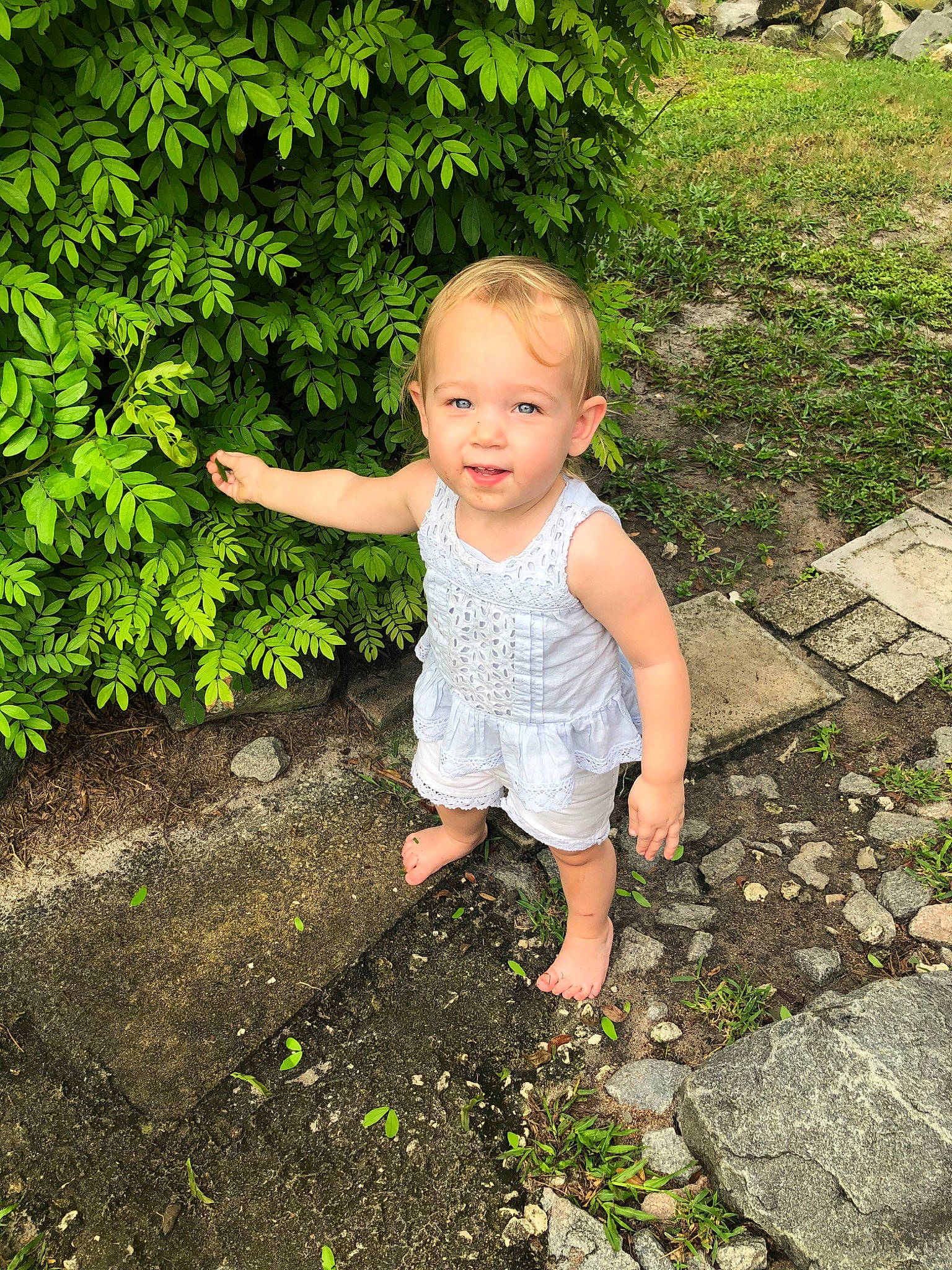 Adeline joined the competition — help win amazing prizes! botany, child, face, finger, garden, grass, green, groundcover, hand, leaf, leg, person, photograph, plant, skin, smile, spring, summer, toddler, tree