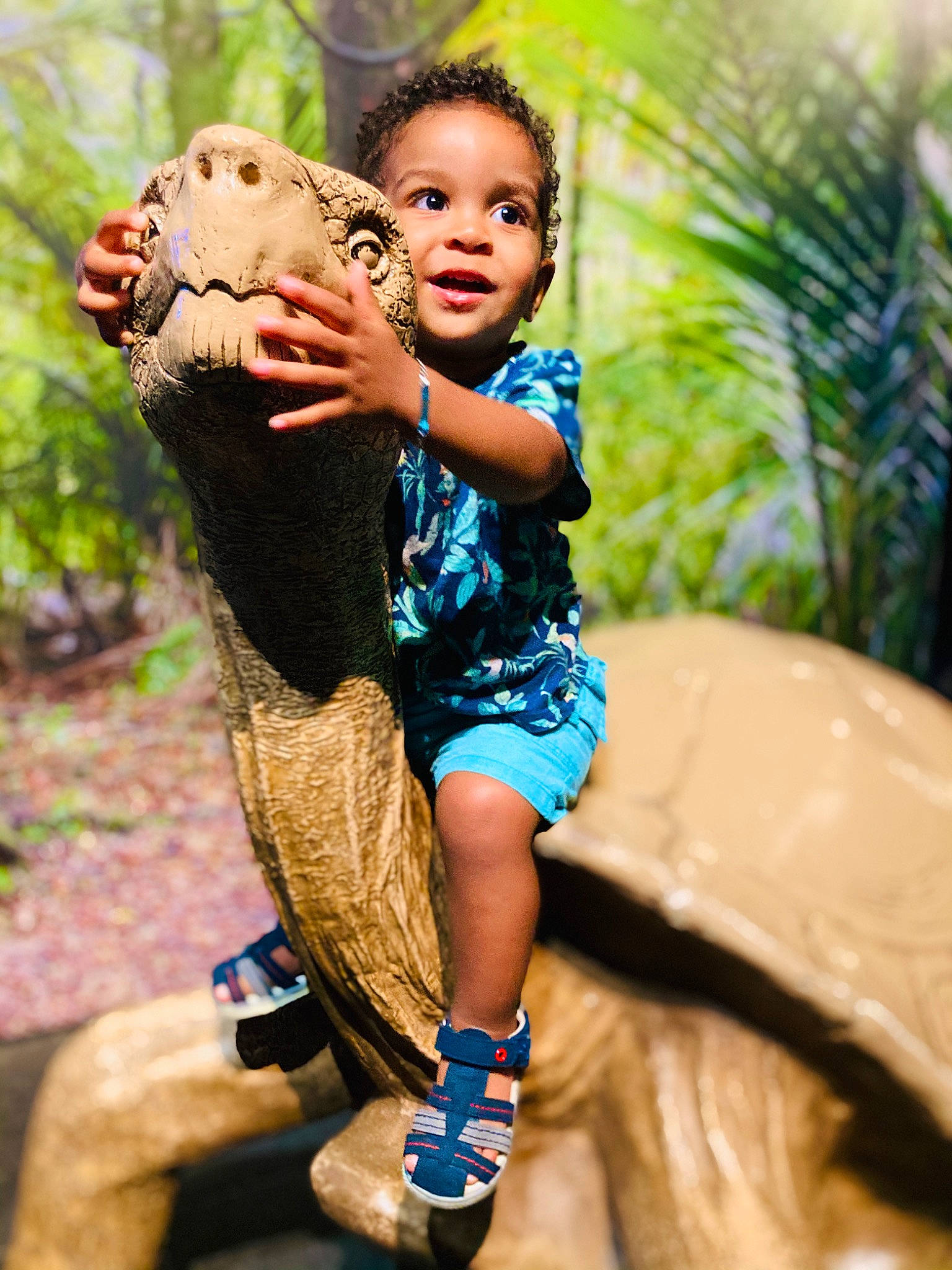 Maëlan a rejoint le concours — aidez-le/la à gagner de superbes lots ! adaptation, child, fawn, fun, grass, happy, landscape, leaf, leisure, mammal, people_in_nature, person, plant, recreation, sandal, shorts, sitting, smile, soil, toddler