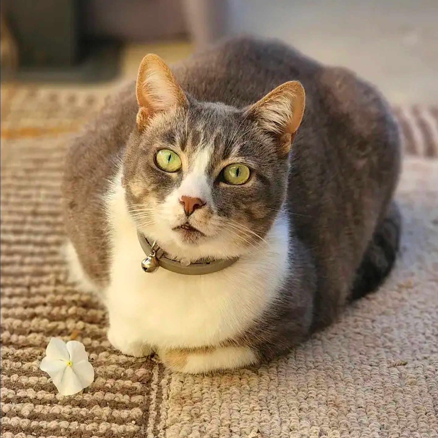 Xena