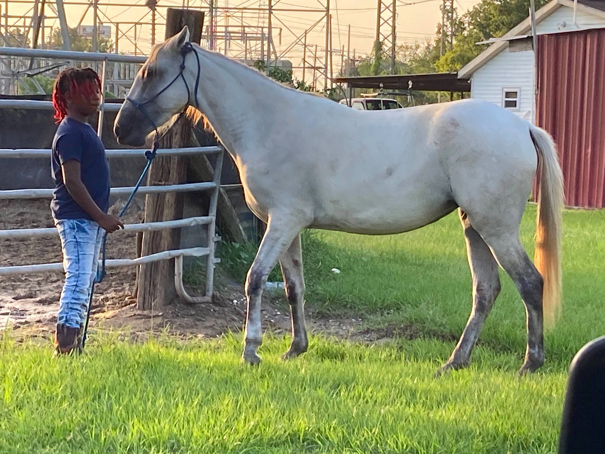 K Ron is registered to the contest to win money with this photo: bit, bridle, door, grass, grassland, horse, horse_supplies, horse_tack, landscape, liver, livestock, mane, mare, pack_animal, person, ranch, rein, snout, sorrel, terrestrial_animal