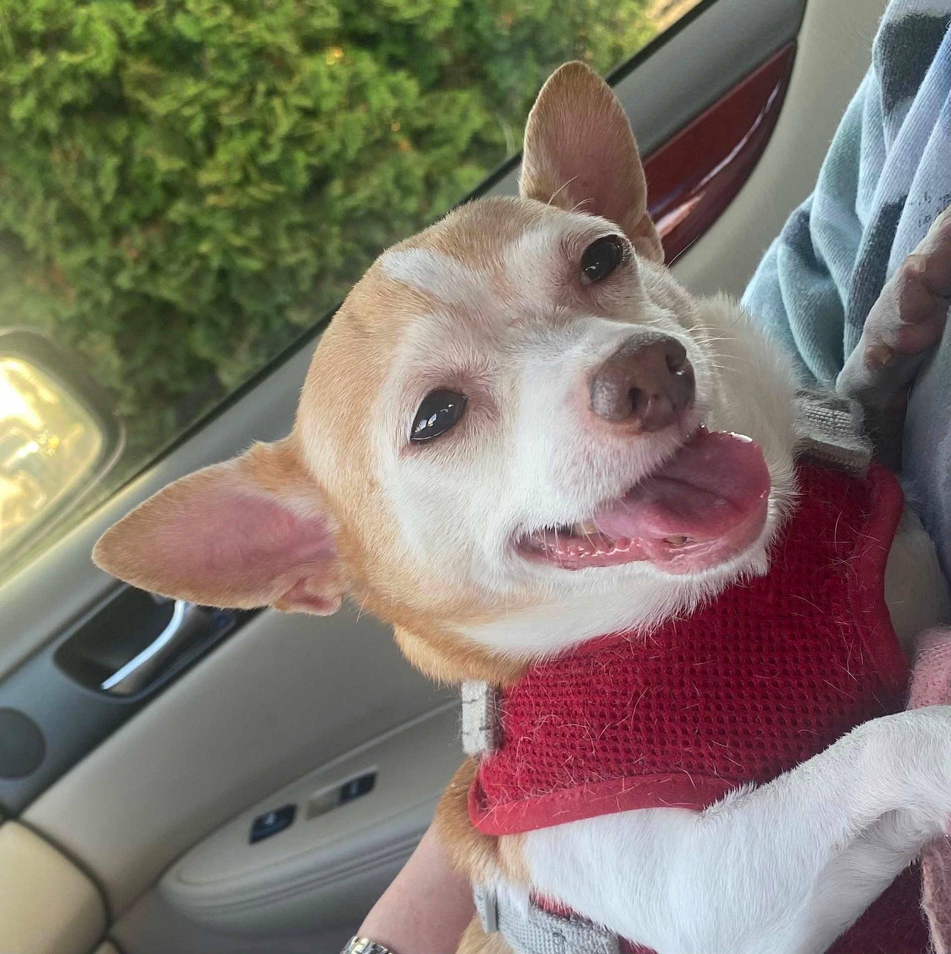 Sabrina