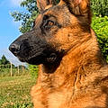 Maélyne L. B.