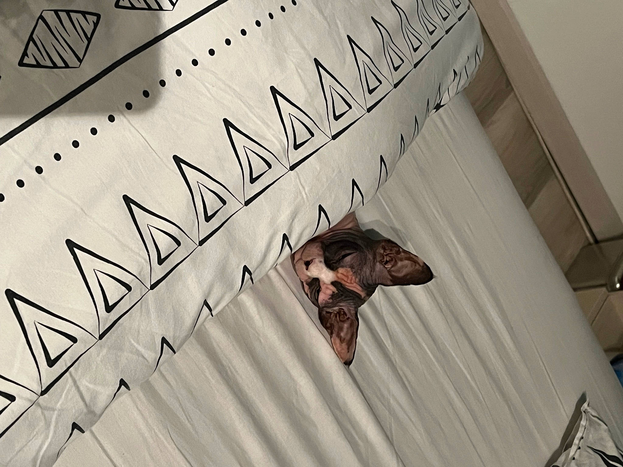 Chanel a rejoint le concours — aidez-le/la à gagner de superbes lots ! art, brand, design, drawing, event, font, graphics, handwriting, illustration, ink, insect, letter, paper, paper_product, pattern, pollinator, triangle, wing, wood, writing