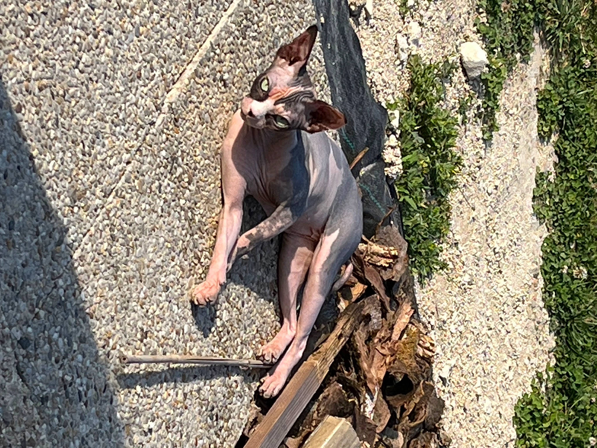 Chanel participe au concours pour gagner de l'argent avec cette photo : adventure, boot, fun, grass, human_leg, knee, landscape, leisure, people_in_nature, plant, recreation, rock, rock_climbing_equipment, rope, sandal, shadow, sitting, soil, thigh, wood