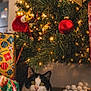 Saya a rejoint le concours — aidez-le/la à gagner de superbes lots ! cat, christmas_tree, christmas_lights, ornaments, presents, holiday, festive, decorations, black_and_white_cat, yellow_eyes, indoor, celebration, gift_wrap, holiday_season, pine_tree, christmas_bow, red_ornament, gold_ornament, cozy, festive_lighting