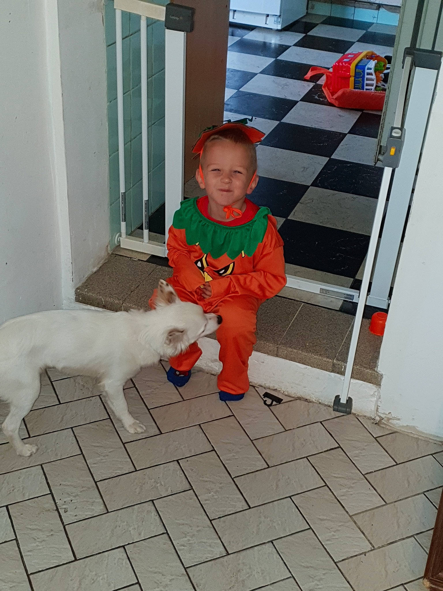 Mathys a rejoint le concours — aidez-le/la à gagner de superbes lots ! carnivoran, child, dog, dog_like_mammal, floor, flooring, mammal, person, play, product, red, snout, standing, toddler, vertebrate