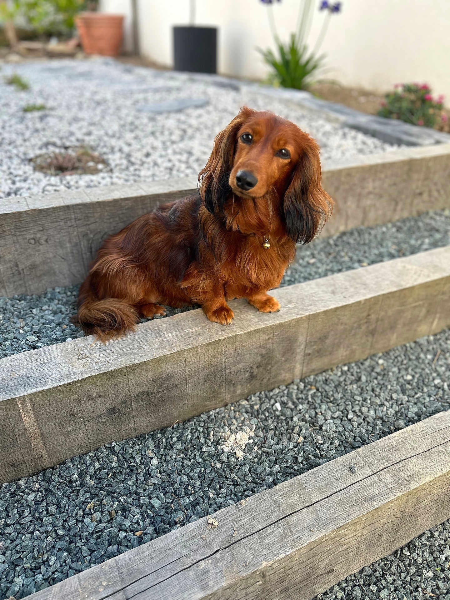 Ruby