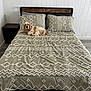 dog, bed, bedding, pillow, wooden_headboard, bedroom, floor, blanket, pet, resting, indoor, furniture, animal, canine, comfort, relaxed, decor, pattern, sleeping_area, side_table