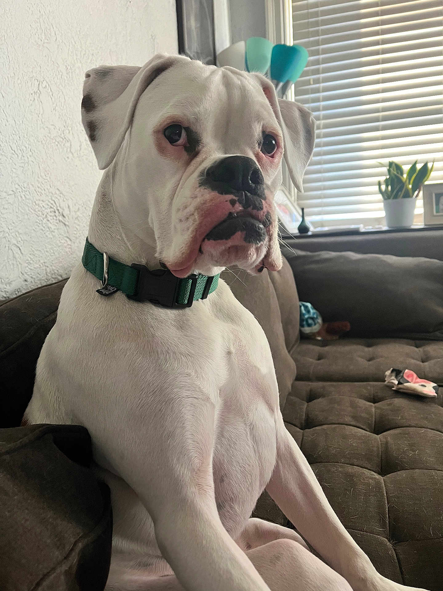 Duncan