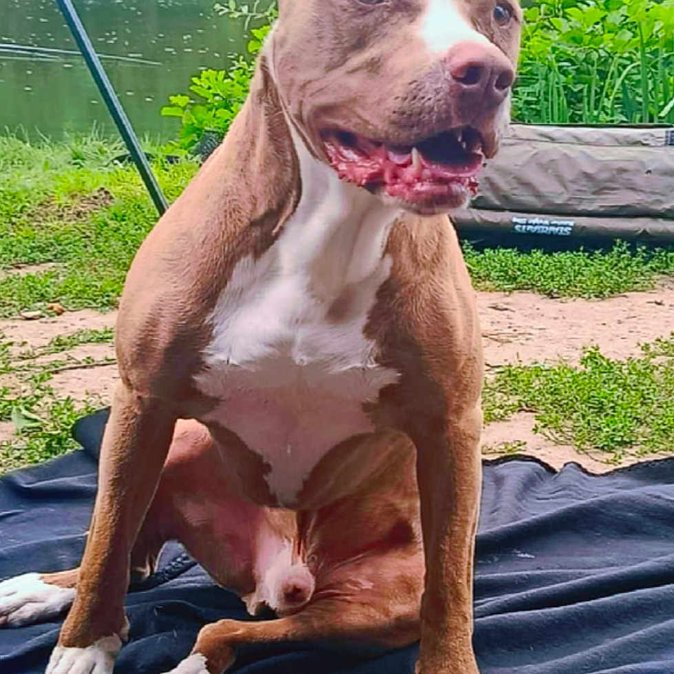 Paco