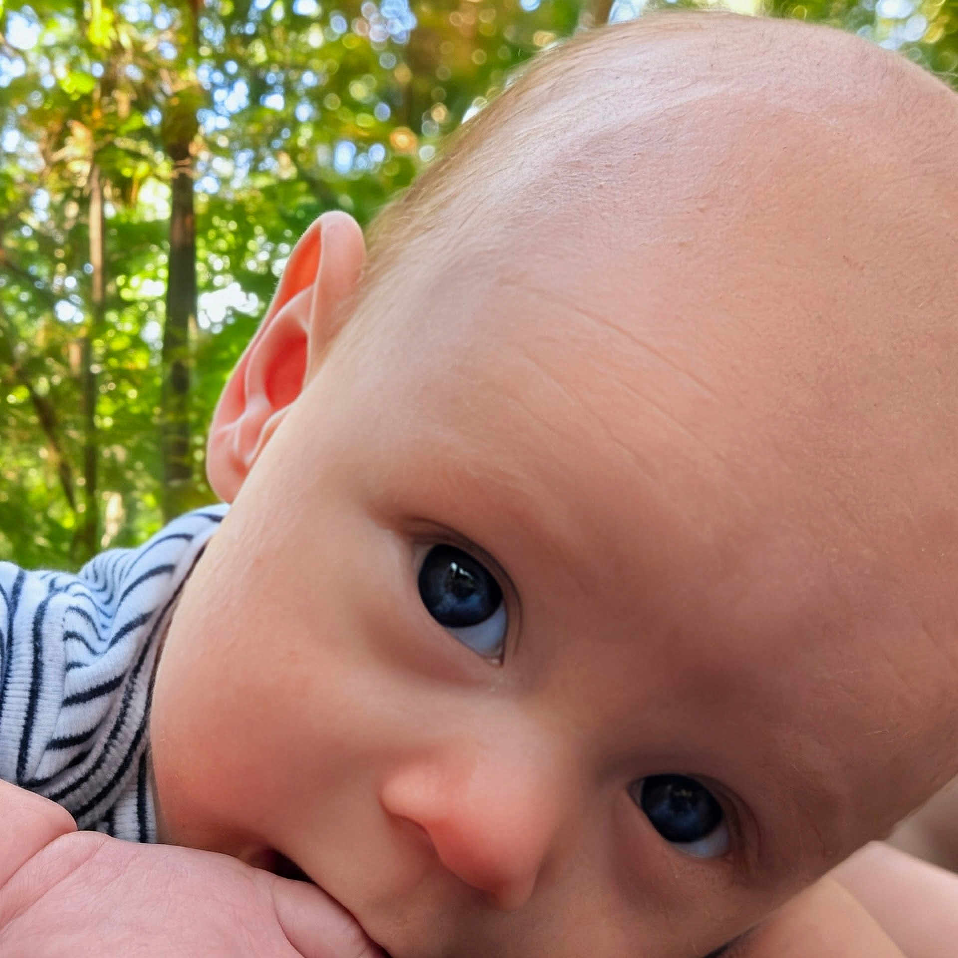 Nicholas joined the competition — help win amazing prizes! baby, blue_eyes, child, closeup, curious, cute, face, forest, hand, head, infant, nature, nibble, outdoor, person, portrait, skin, soft_light, striped_clothing, young_child