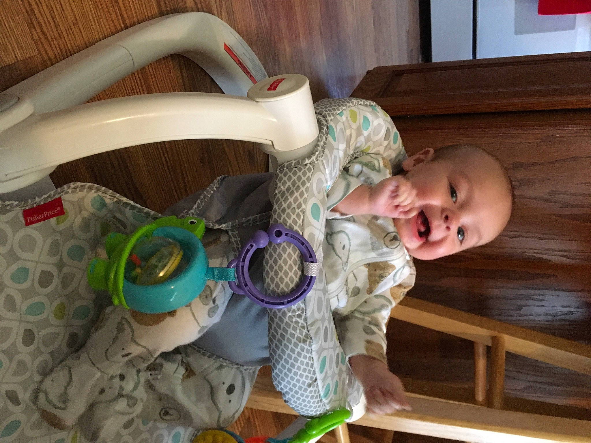 Elliott joined the competition — help win amazing prizes! baby, baby_products, baby_safety, baby_toddler_clothing, baby_toys, basket, child, clothing, comfort, eye, head, human_body, infant_bed, person, room, sitting, stuffed_toy, toddler, toy, tree