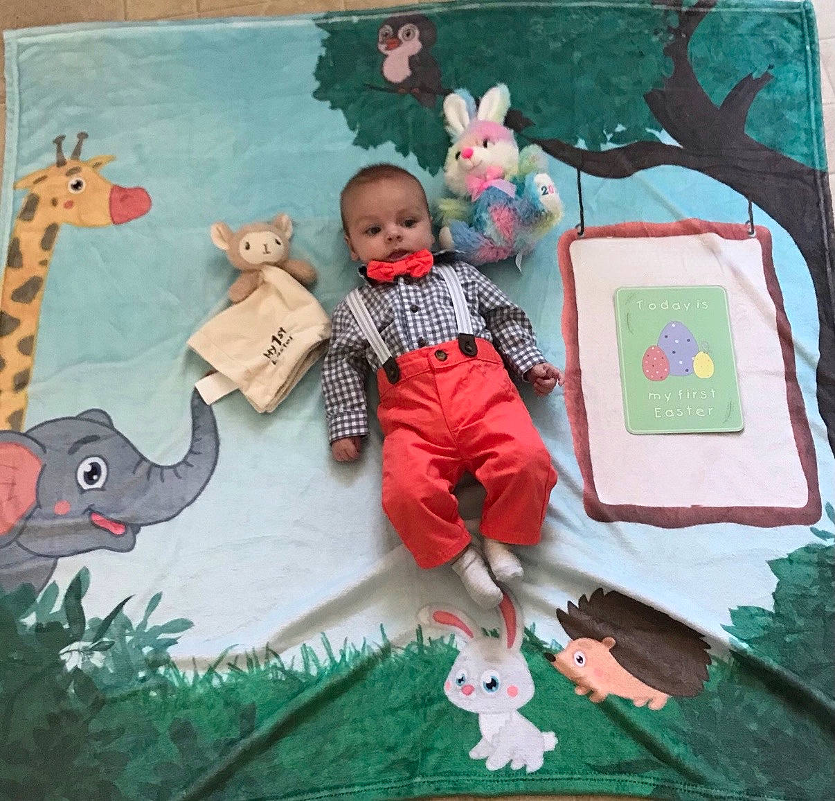 Elliott is registered to the contest to win money with this photo: adaptation, art, baby_toddler_clothing, grass, green, happy, illustration, leaf, linens, mammal, organism, pattern, person, plant, product, t_shirt, textile, toddler, vertebrate, visual_arts