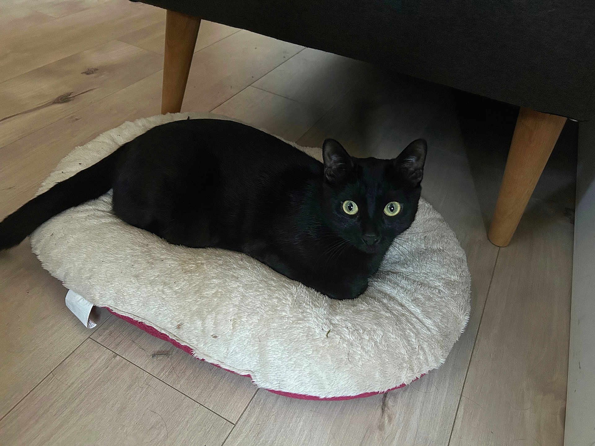 Boubou
