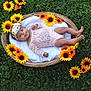 Amina is registered to the contest to win money with this photo: baby, infant, flower_headband, wicker_basket, sunflowers, green_grass, outdoor, portrait, cute, smiling, pink_lace, blanket, nature, lying_down, child, floral, headwear, soft, fresh, peaceful