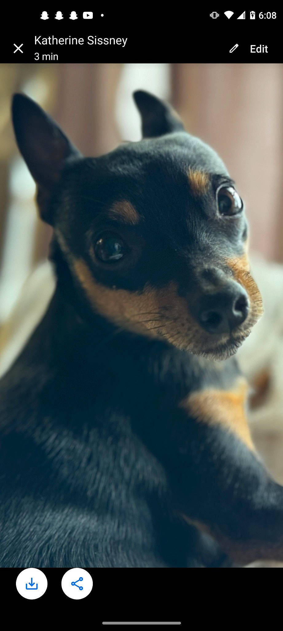 Pickle