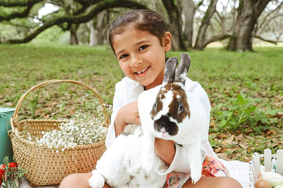 Eliyana joined the competition — help win amazing prizes! basket, child, companion_dog, dog_breed, dress, event, fun, grass, happy, joy, leisure, people_in_nature, person, photograph, plant, sitting, smile, spring, storage_basket, toddler