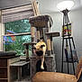 pug, dog, cat_tree, living_room, window, rain, lamp, picture_frame, books, chair, furniture, curtains, wooden_drawer, pet, indoor, leaping, gray, cozy, home, pet_furniture