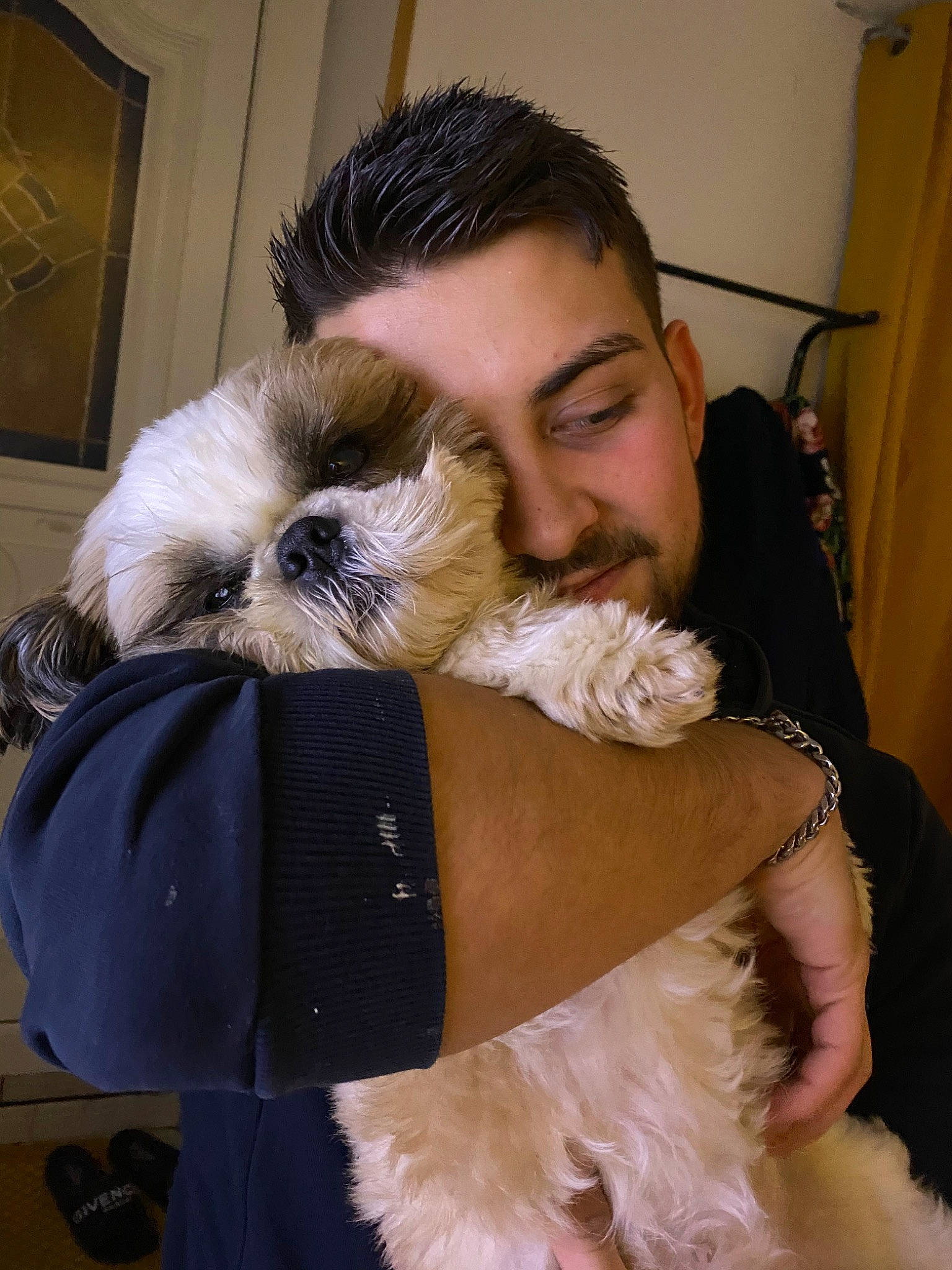 Maybe participe au concours pour gagner de l'argent avec cette photo : canidae, carnivore, companion_dog, dog, dog_breed, ear, fur, hug, interaction, maltese, non_sporting_group, petit_basset_griffon_vendeen, puppy, puppy_love, schnoodle, shih_tzu, toy_dog