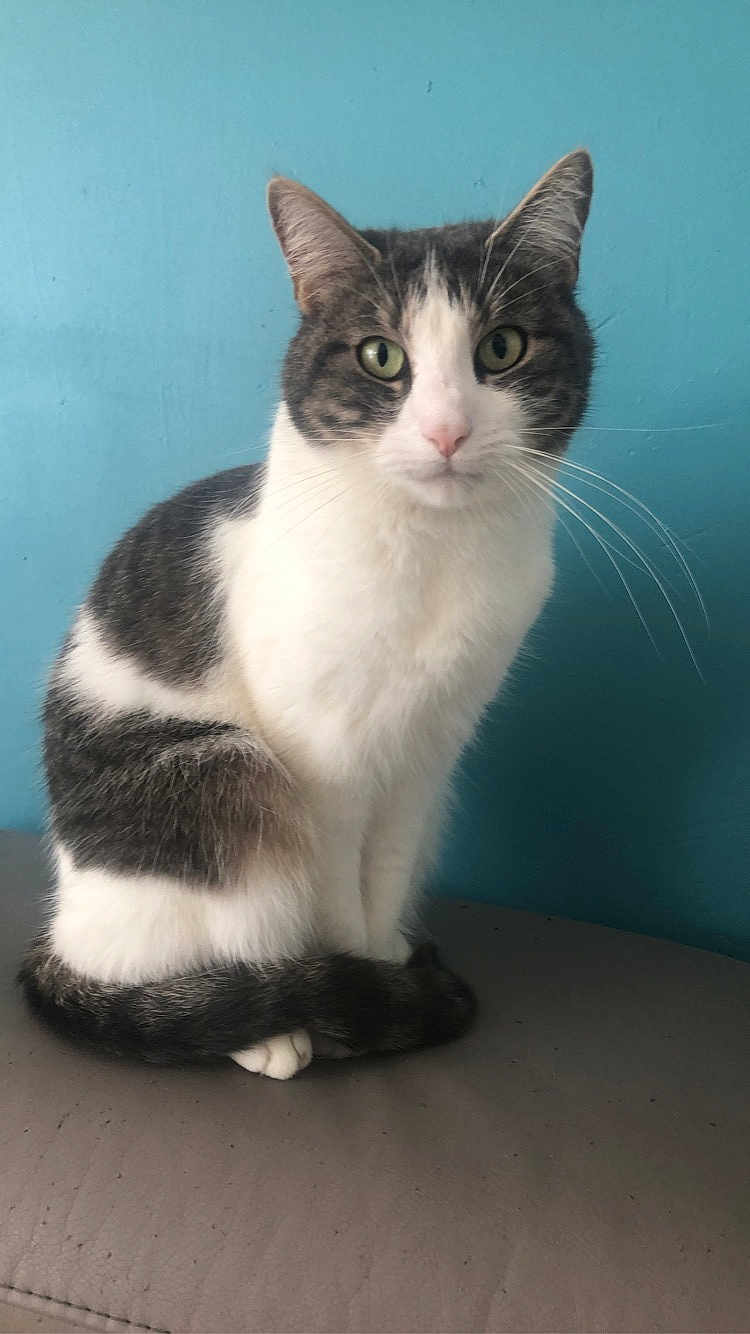 Mimi