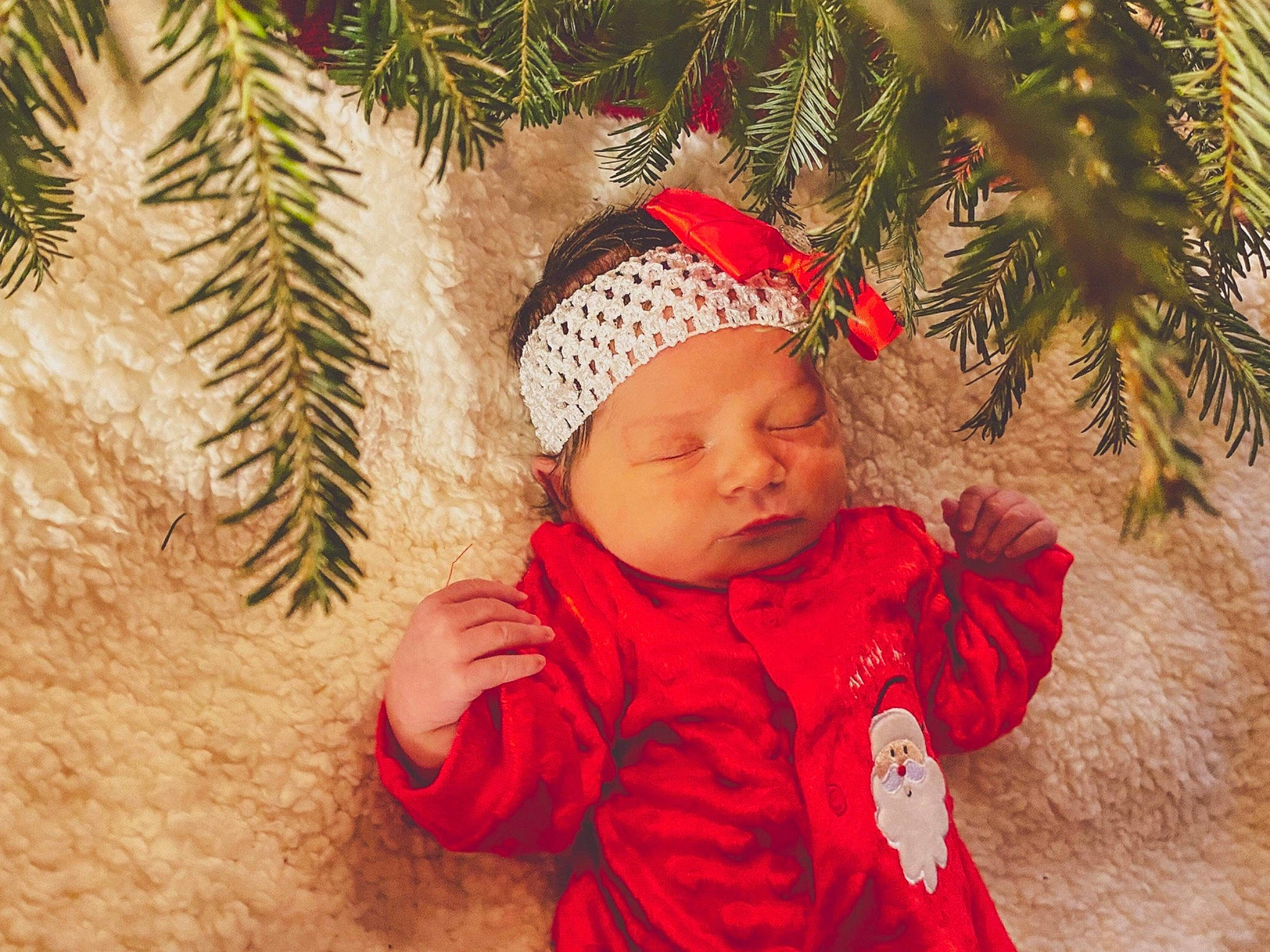 Noel joined the competition — help win amazing prizes! baby, cap, christmas, christmas_decoration, christmas_eve, christmas_ornament, conifer, event, evergreen, fun, grass, happy, headwear, holiday, jacket, leaf, people_in_nature, person, plant, toddler