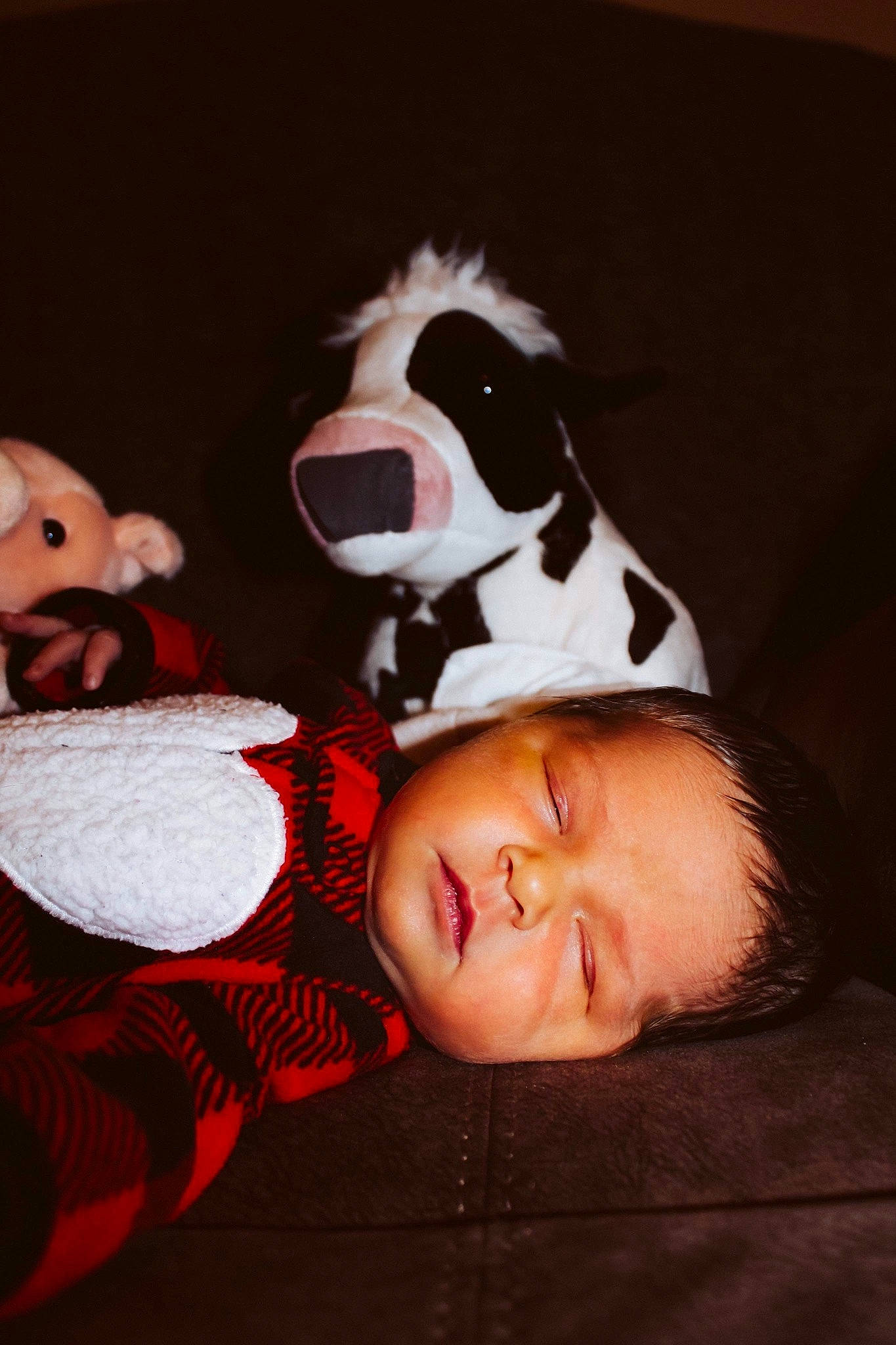 Noel is registered to the contest to win money with this photo: baby, baby_toddler_clothing, carmine, carnivore, child, companion_dog, dog_breed, fictional_character, flash_photography, fun, fur, happy, human_body, person, room, sleeve, smile, stuffed_toy, t_shirt, toddler