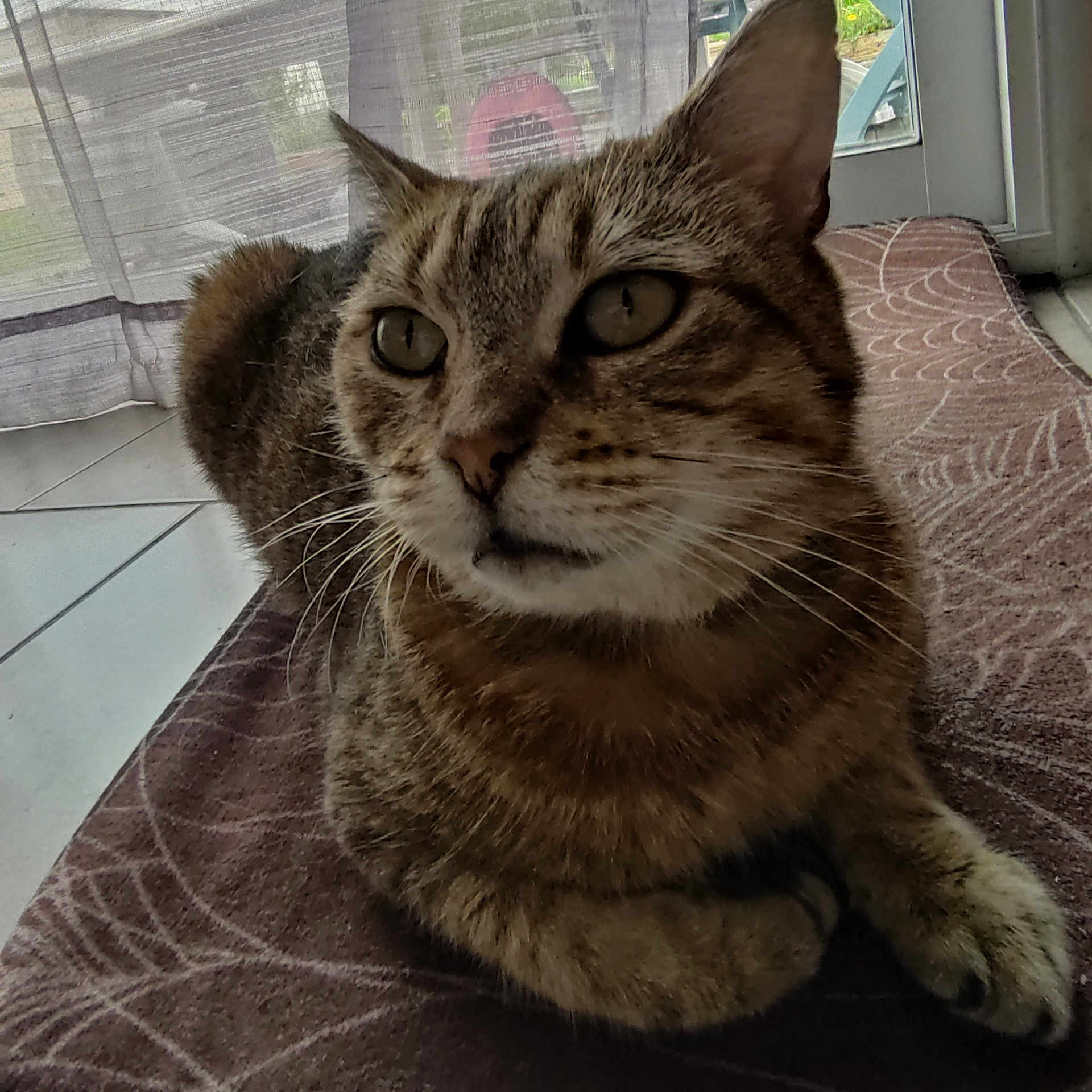 Tina
