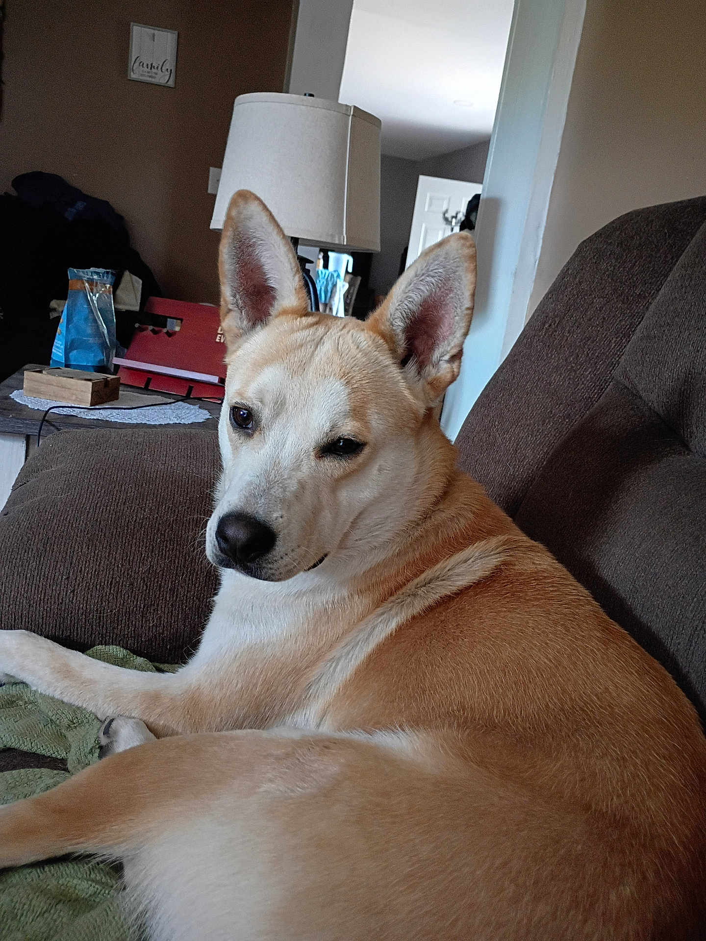 Sampson
