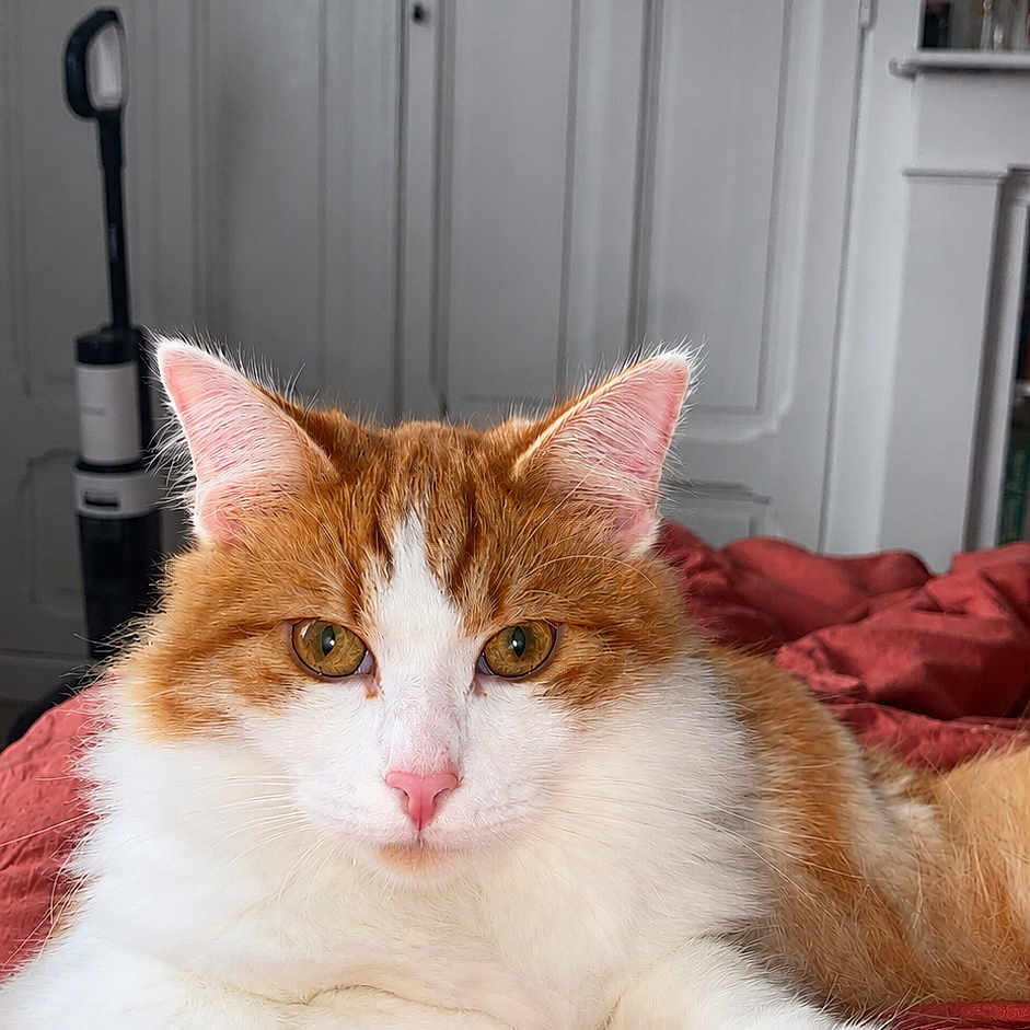 George
