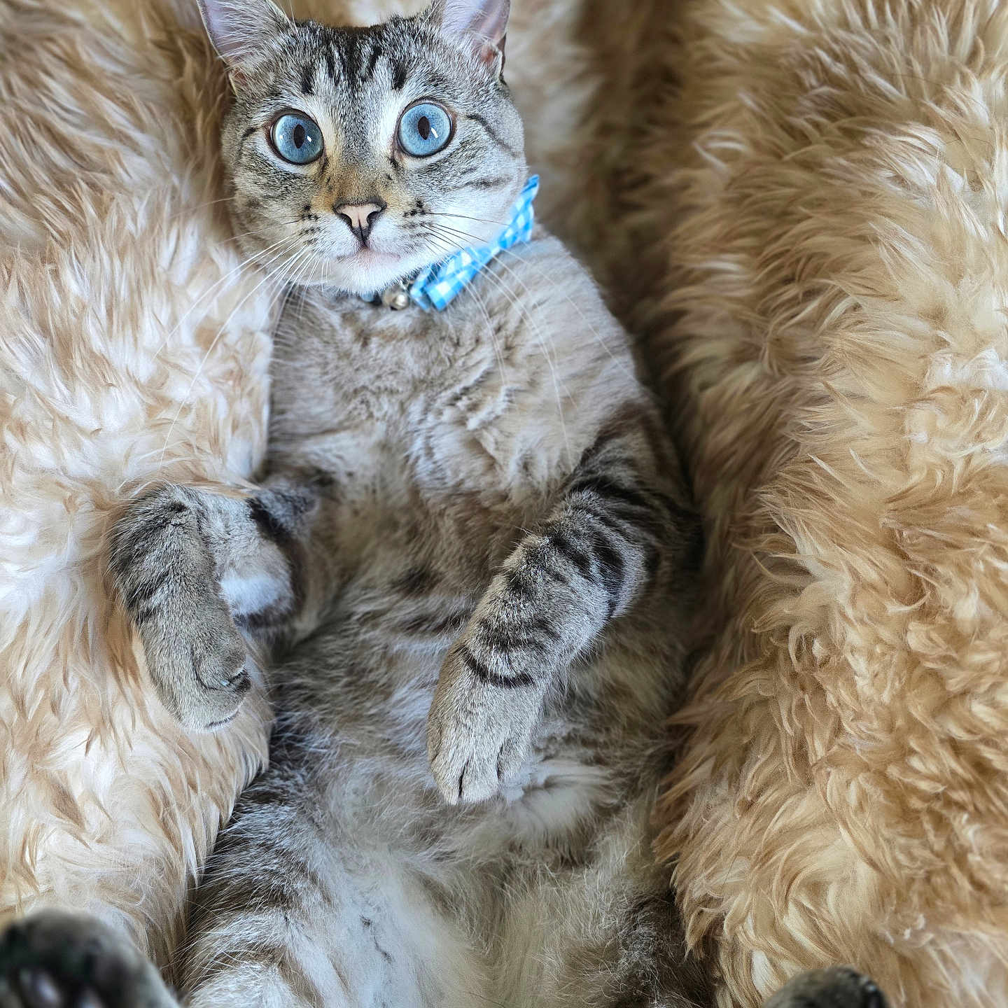 Nilo