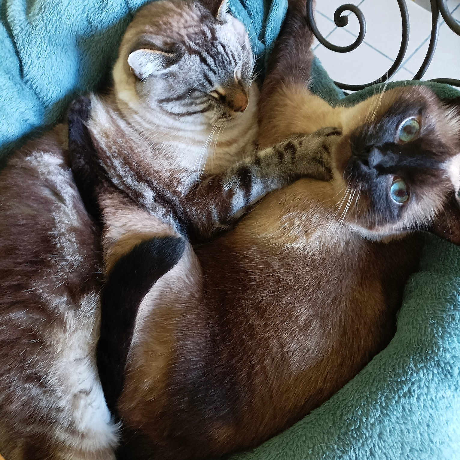 Spoom Et Merlin