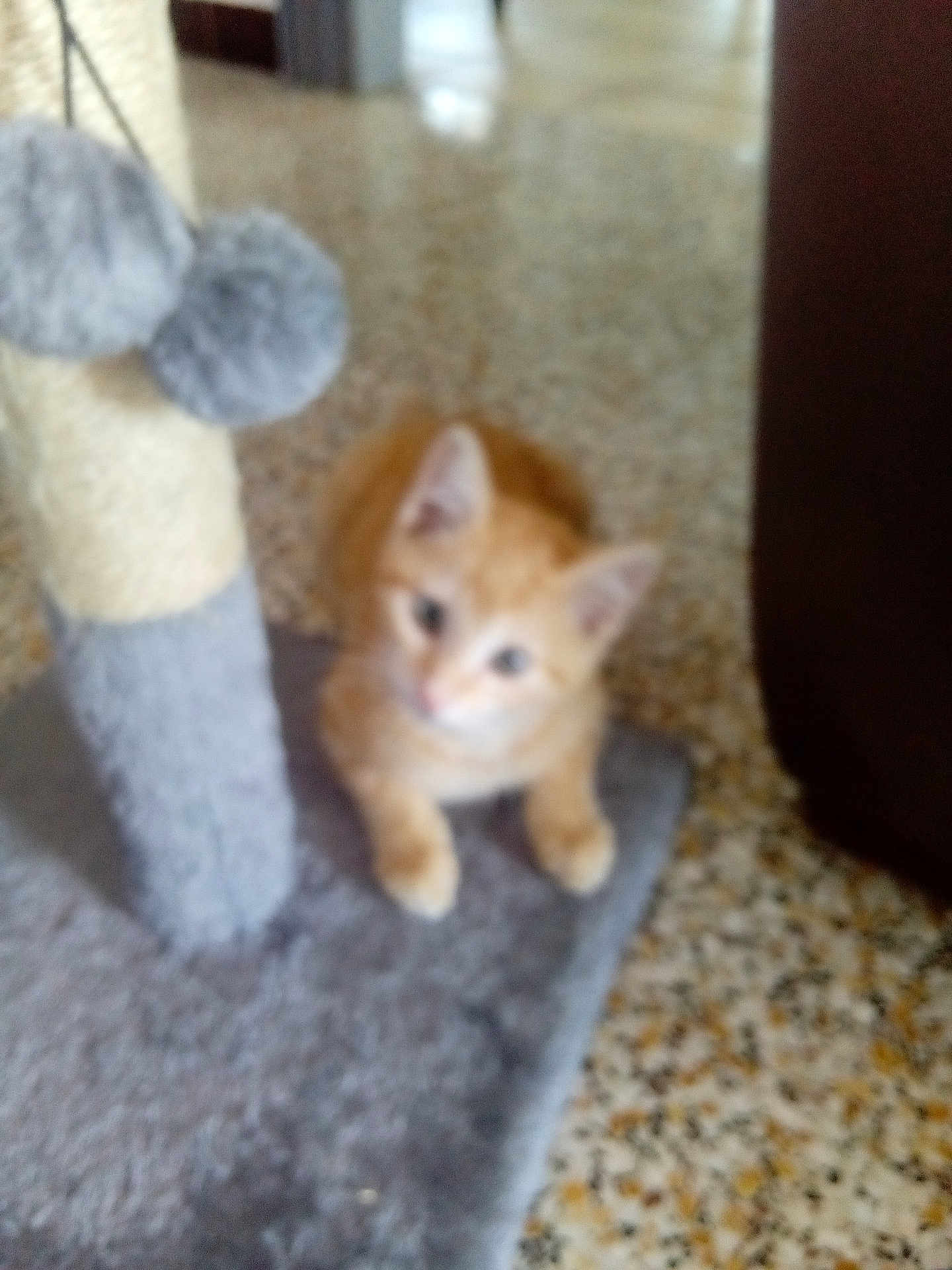 Mimie