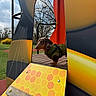 Albert a rejoint le concours — aidez-le/la à gagner de superbes lots ! dog, dachshund, green_jacket, playground, play_structure, honeycomb_pattern, outdoor, park, trees, grass, wooden_platform, cloudy_sky, pet, animal, curious, colorful, metal_railings, yellow, orange, black