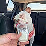 dog, car_interior, hand, plastic_cup, treat, licking, pink_harness, window, seat, backseat, human_hand, white_dog, brown_markings, daylight, vehicle, pet, happy, close_up, inside, animal
