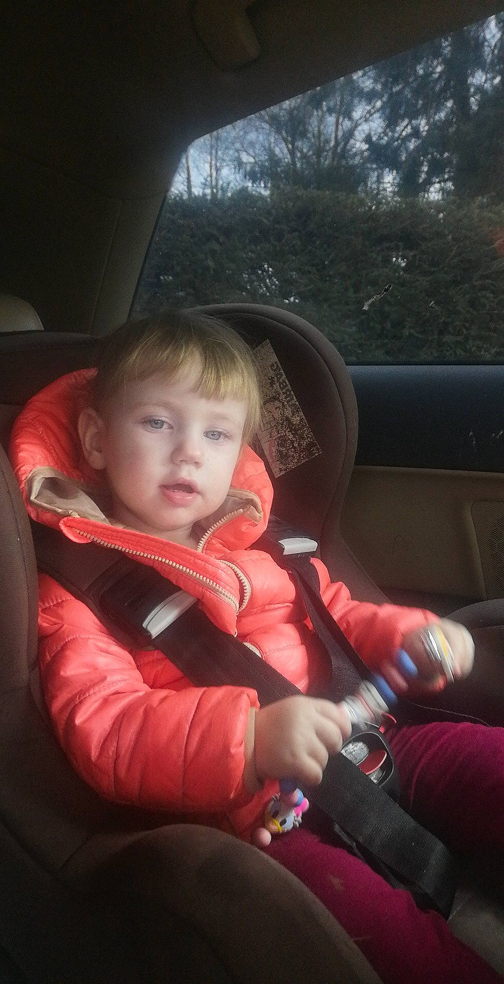 Vanina participe au concours pour gagner de l'argent avec cette photo : auto_part, automotive_design, automotive_exterior, car, car_seat, car_seat_cover, comfort, family_car, head_restraint, lap, motor_vehicle, person, plant, seat_belt, steering_part, steering_wheel, toddler, tree, vehicle, vehicle_door