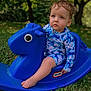 toddler, child, blue_clothing, rocking_horse, toy, outdoor, grass, greenery, tree, portrait, cute, baby, play, summer, nature, sitting, foot, expression, daylight, young