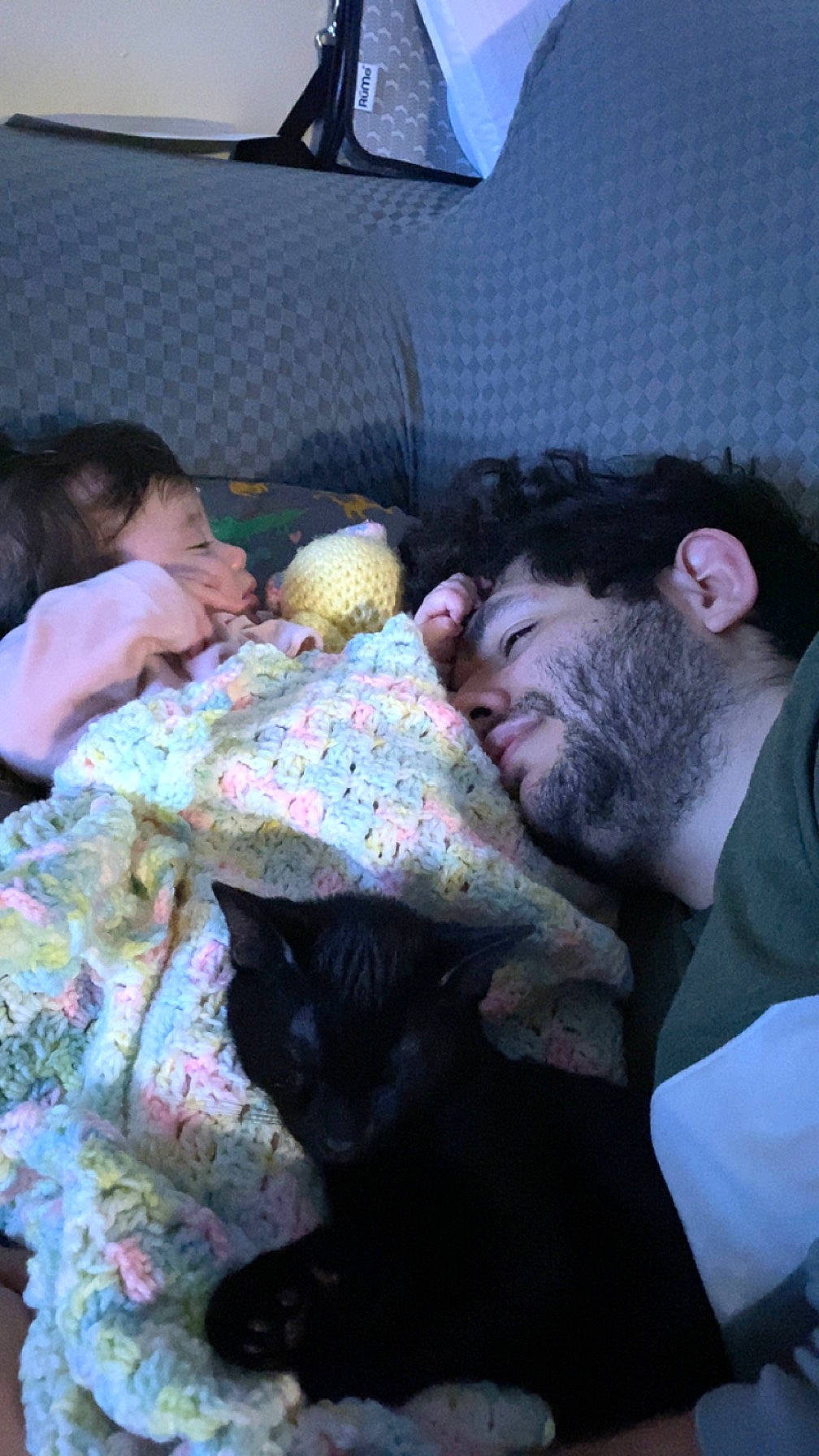 Gwynevere is registered to the contest to win money with this photo: beard, black, cat, comfort, couch, domestic_short_haired_cat, event, felidae, fun, fur, lamp, lap, linens, mammal, person, pillow, room, sitting, small_to_medium_sized_cats, vertebrate