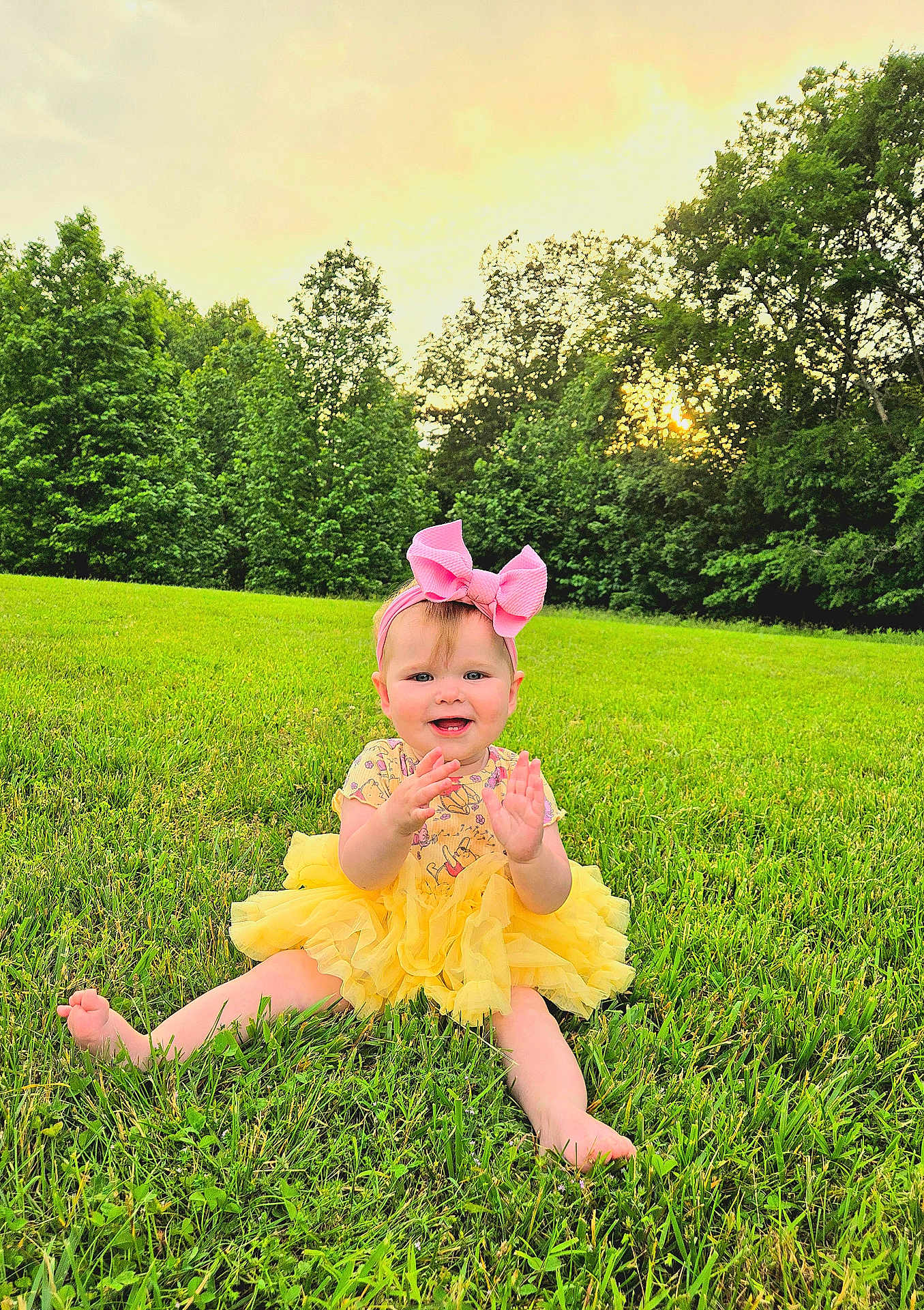 Maci