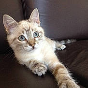 Luna participe au concours pour gagner de l'argent avec cette photo :