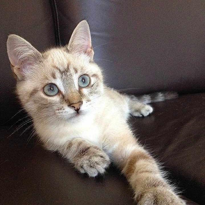 Luna