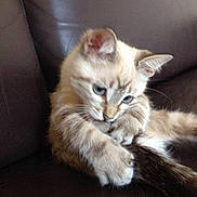 Luna participe au concours pour gagner de l'argent avec cette photo :