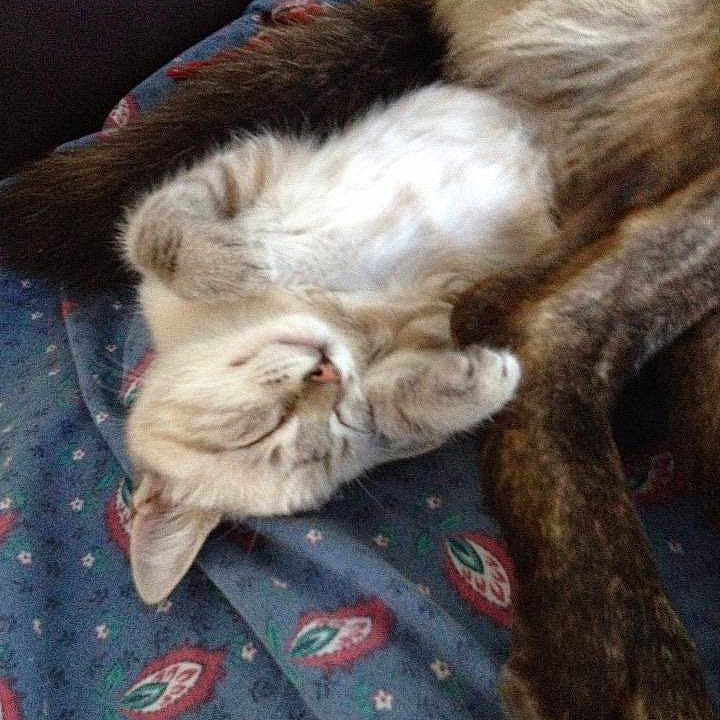 Luna